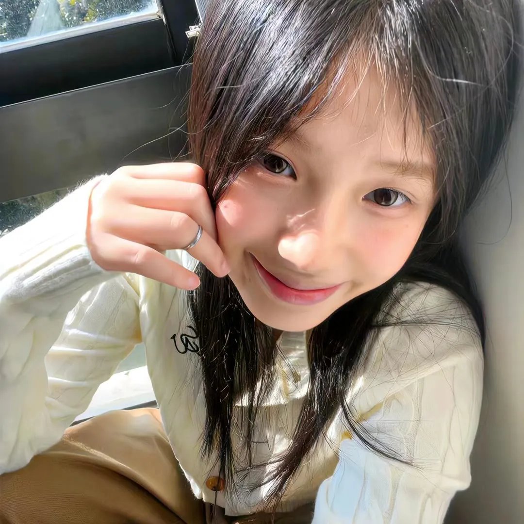 蜘蛛的策略